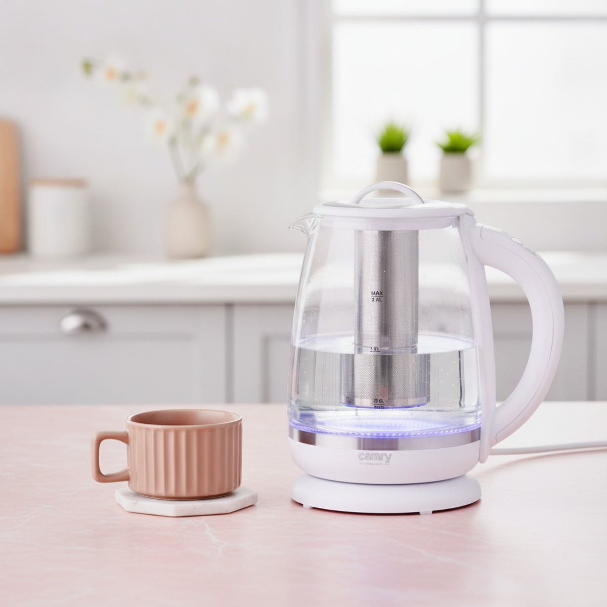 Bouilloire Verre Électrique avec Infuseur & Température Réglable