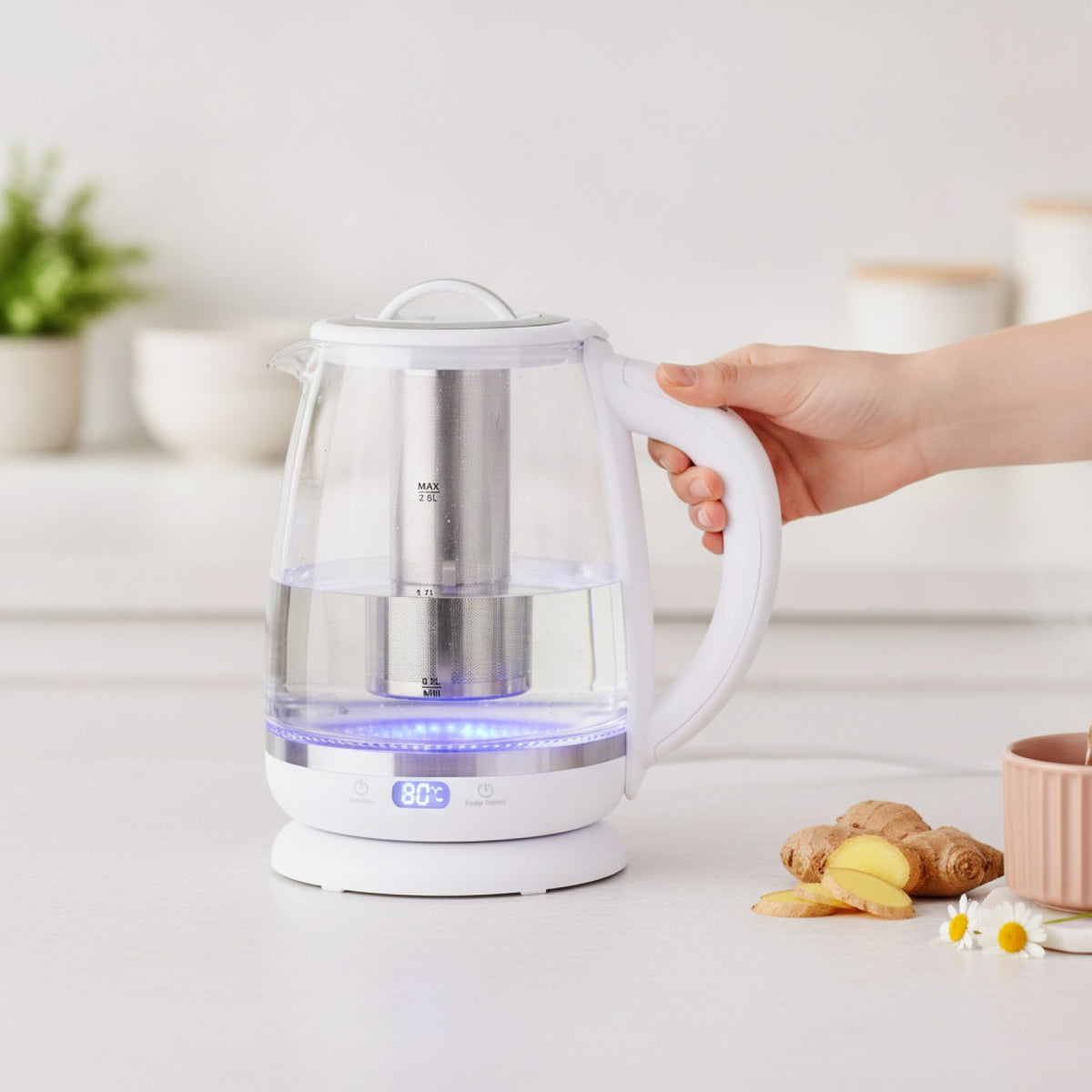 Bouilloire Verre Électrique avec Infuseur & Température Réglable